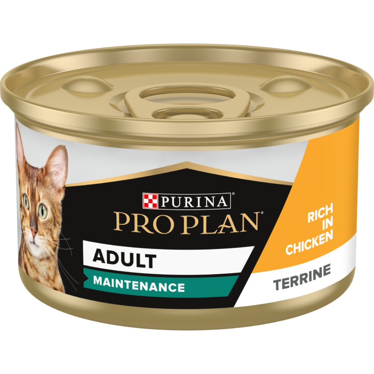Adult Maintenance chicken terrine 85g