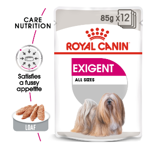 Exigent (12 x 85g)
