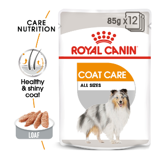 Coat Care (12 x 85g)