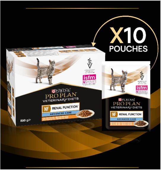 NF Renal Function Salmon (10x85g)