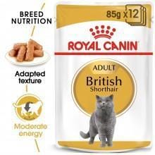 Royal Canin British Shorthair Wet Food - My Cat and Co.