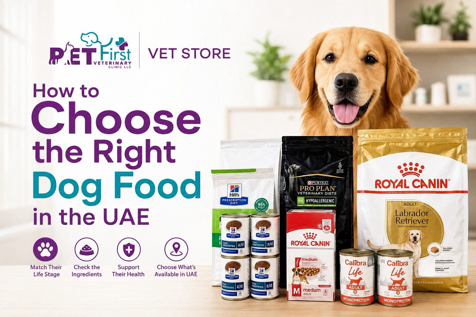 How to Choose the Right Dog Food in the UAE