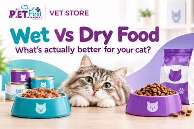 Wet Food vs. Dry Food for Cats: What's Actually Better for UAE Apartment Life