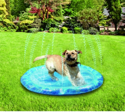 Sprinkler Fun Mat