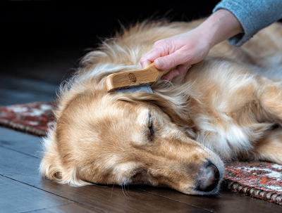 Bamboo Anti Flea and Tangle Comb