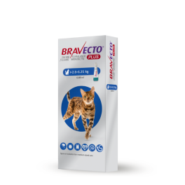 Bravecto Plus for Medium Cats 2.8kg-6.25kg