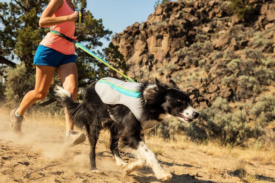 RUFFWEAR Swamp Cooler - My Pooch and Co.