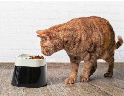 Ergo Cube Food Cat Bowl