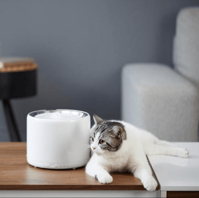 PETKIT Water Fountain 3 (1.35L) - My Cat and Co.