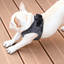 PETKIT Air Fly Harness - My Pooch and Co.
