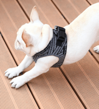 PETKIT Air Fly Harness - My Pooch and Co.